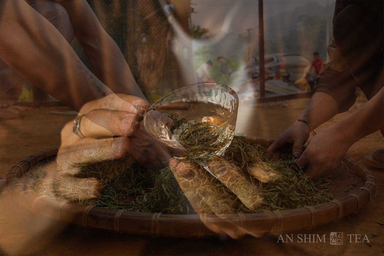 Tea Subscription | Monthly Premium Teas by AN SHIM TEA
