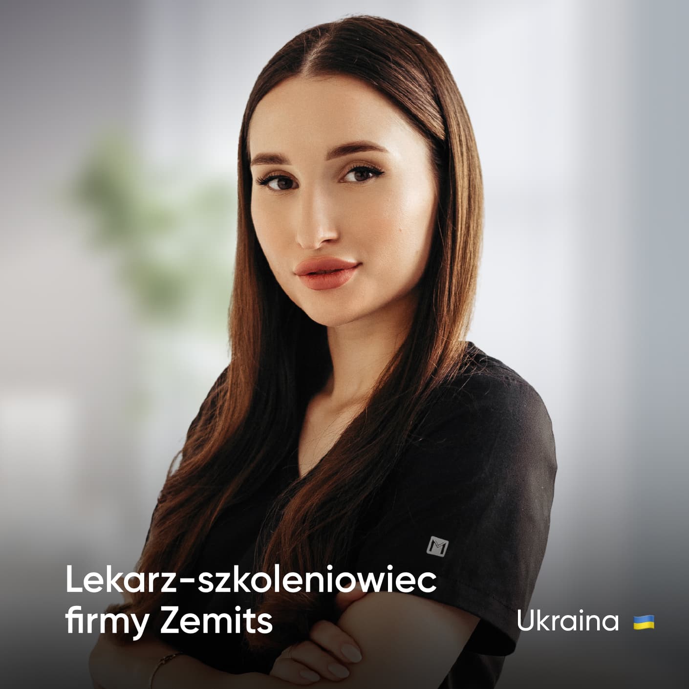Zemits — ilustracja do artykułu
