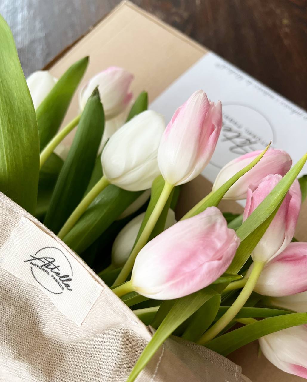 Katalog posćieli ASTELLA