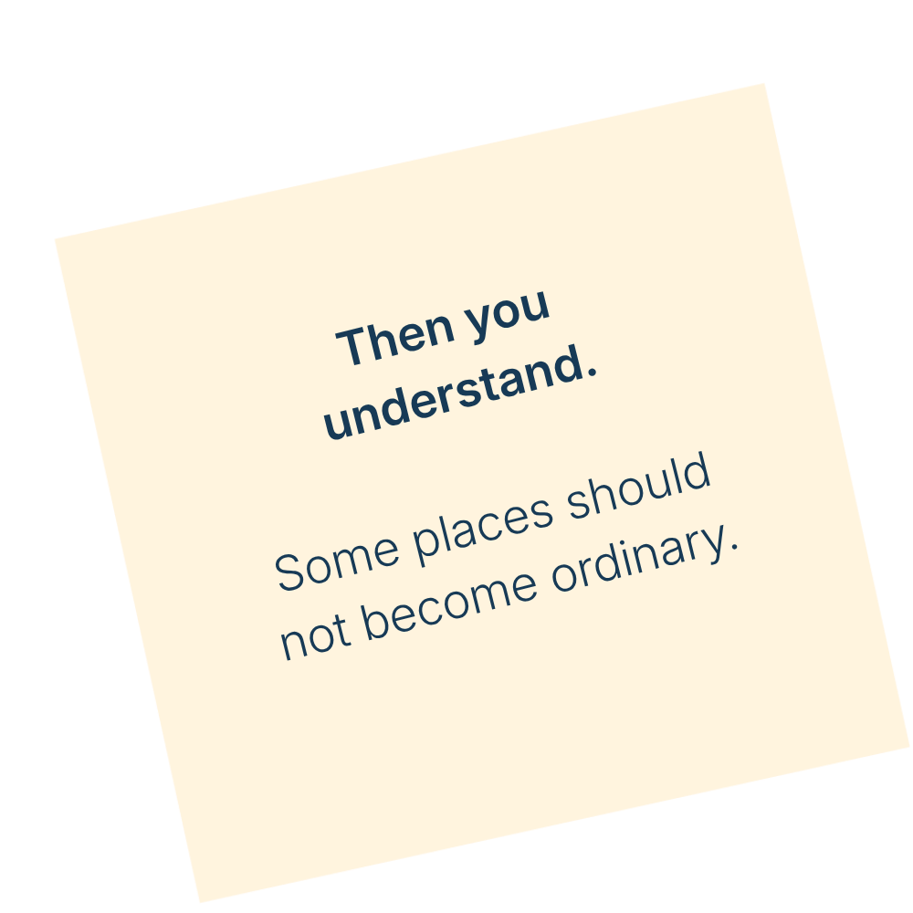 Then you understand