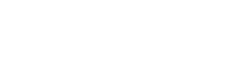 Логотип HDL