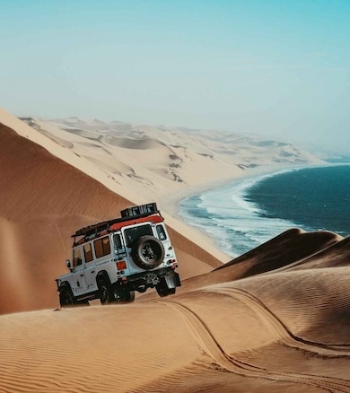 Львы на сафари в Кении