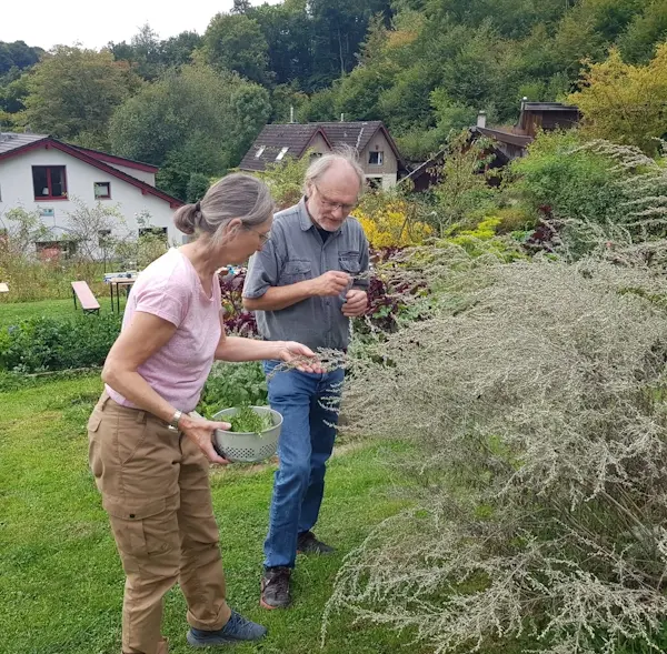 Wildpflanzen - Kochkurs bei Mattis Naturküche