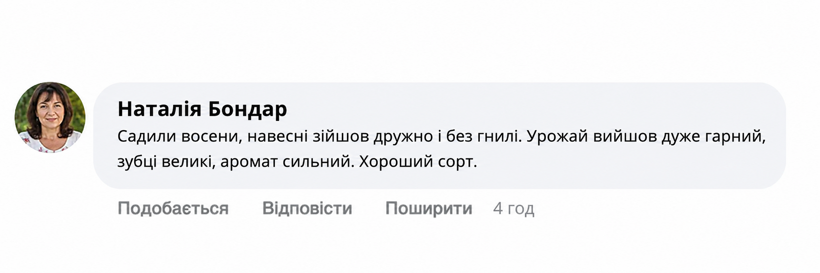 Відгук про Харківський фіолетовий часник