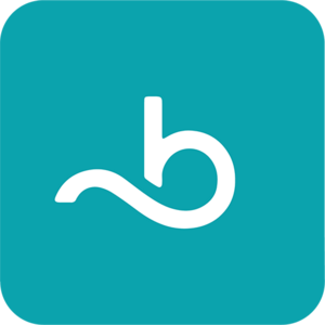 website icon