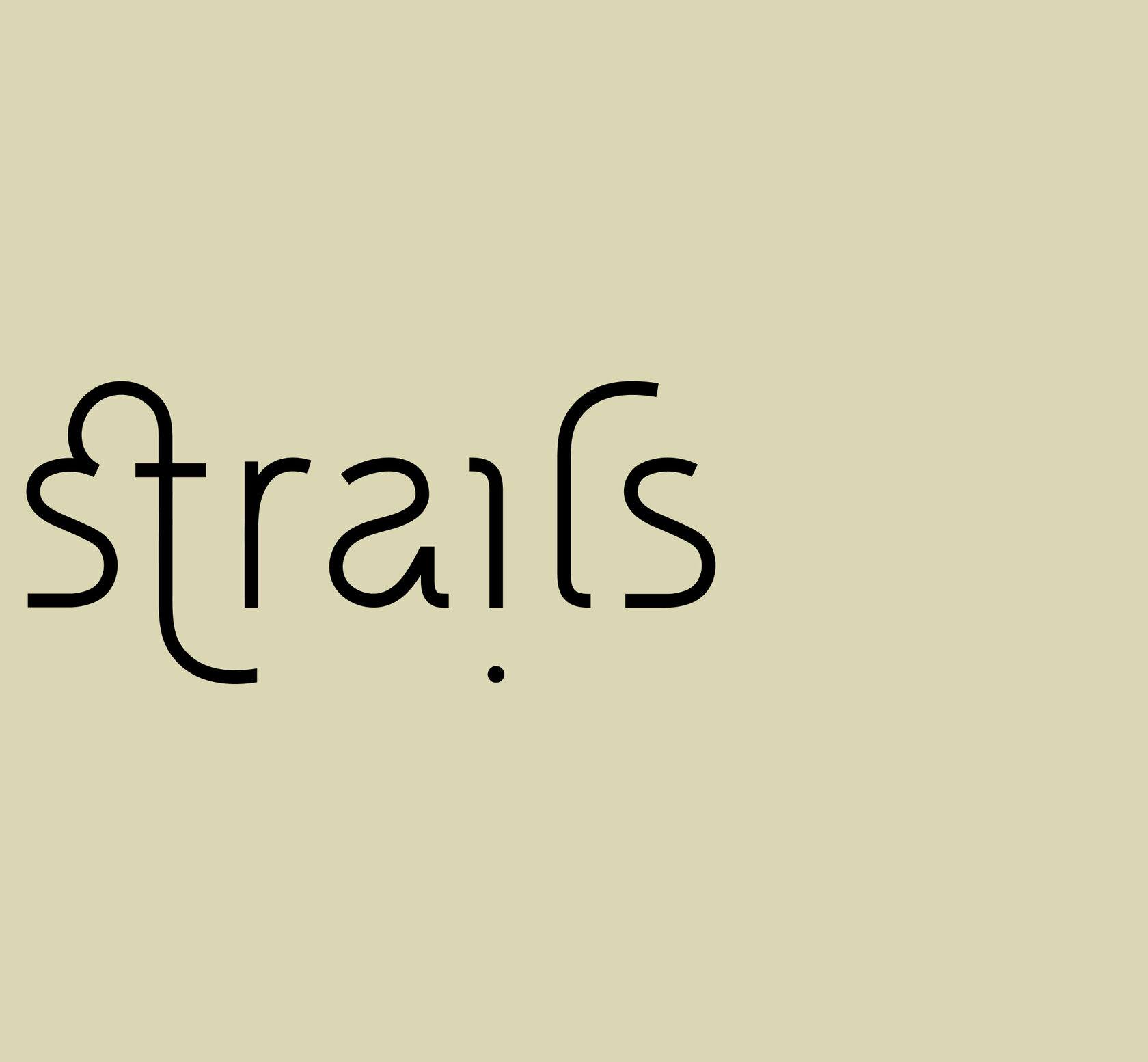 Minimalist and organic logo for Namastrails, inspired by nature, movement, and spiritual exploration.