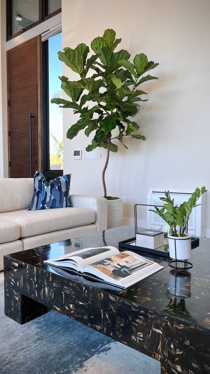 Fiddle-leaf fig and a small ZZ plant in a staged living room near the entry door