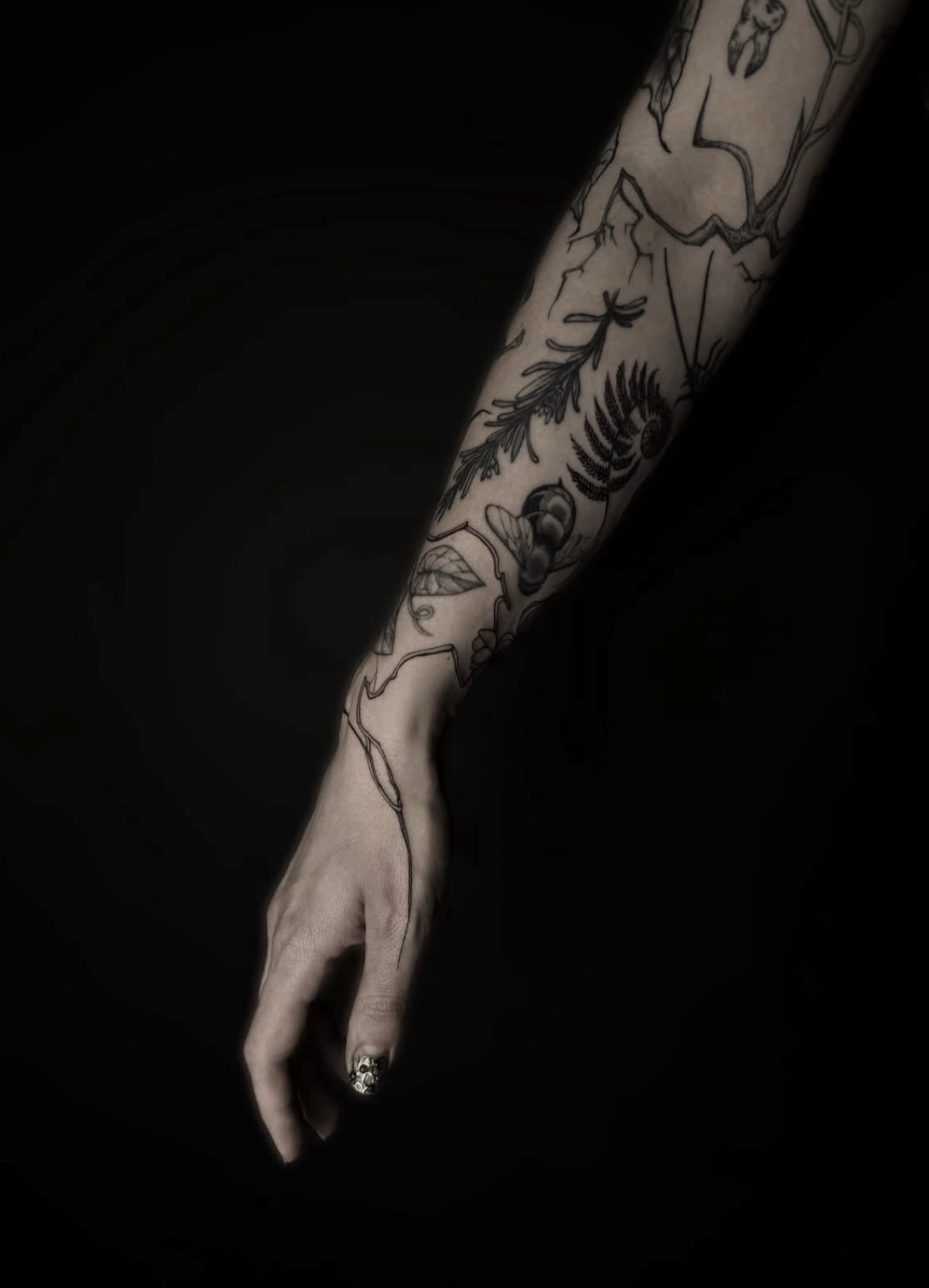 Tattooed forearm with a fern frond, leafy sprig, winged insect and angular branch lines running across the wrist onto the hand.