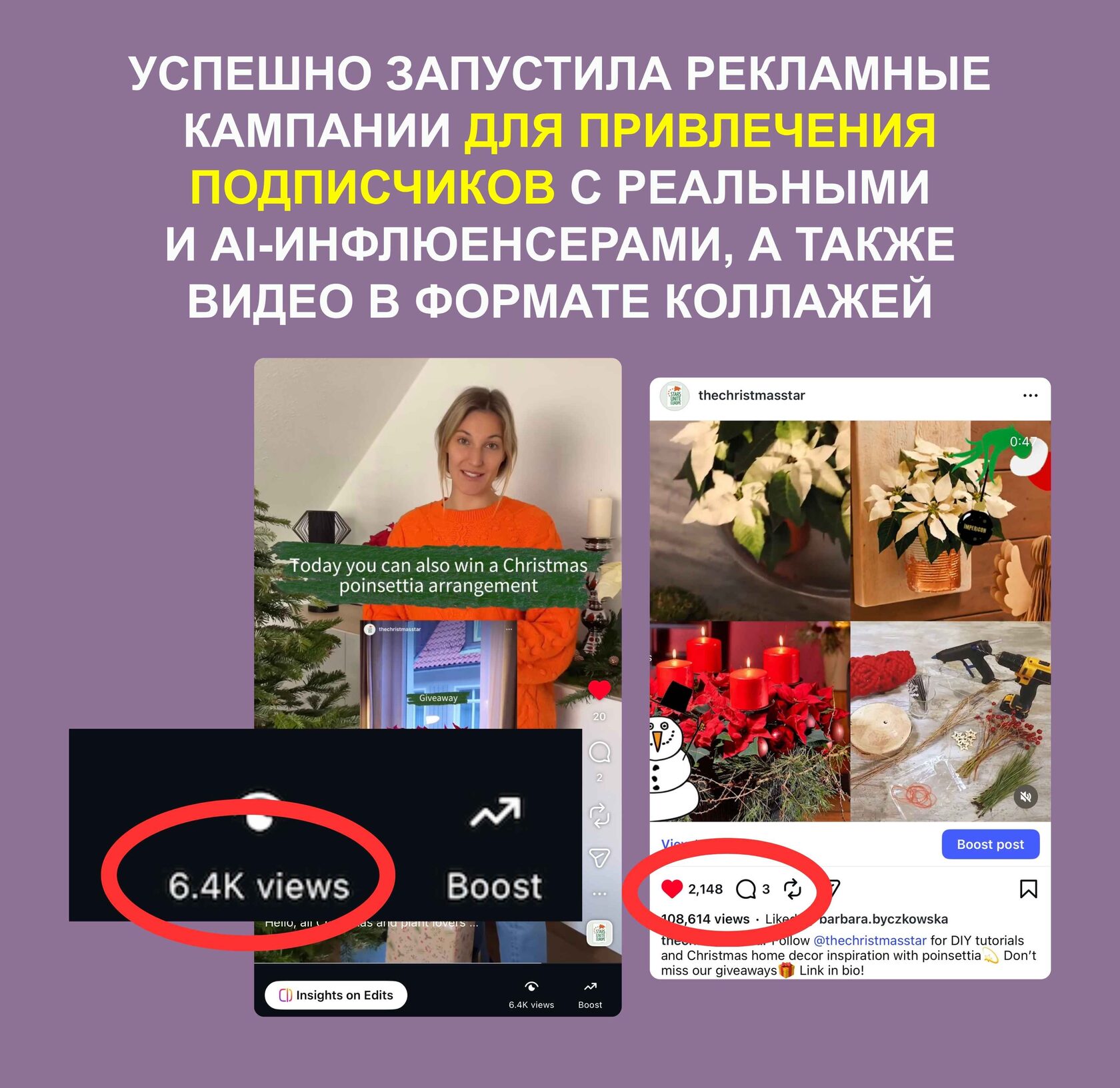 Кейс «Пуансеттия» 4