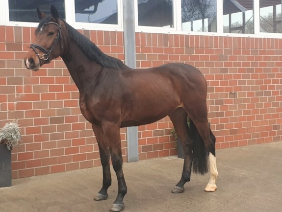 April aktuální tým