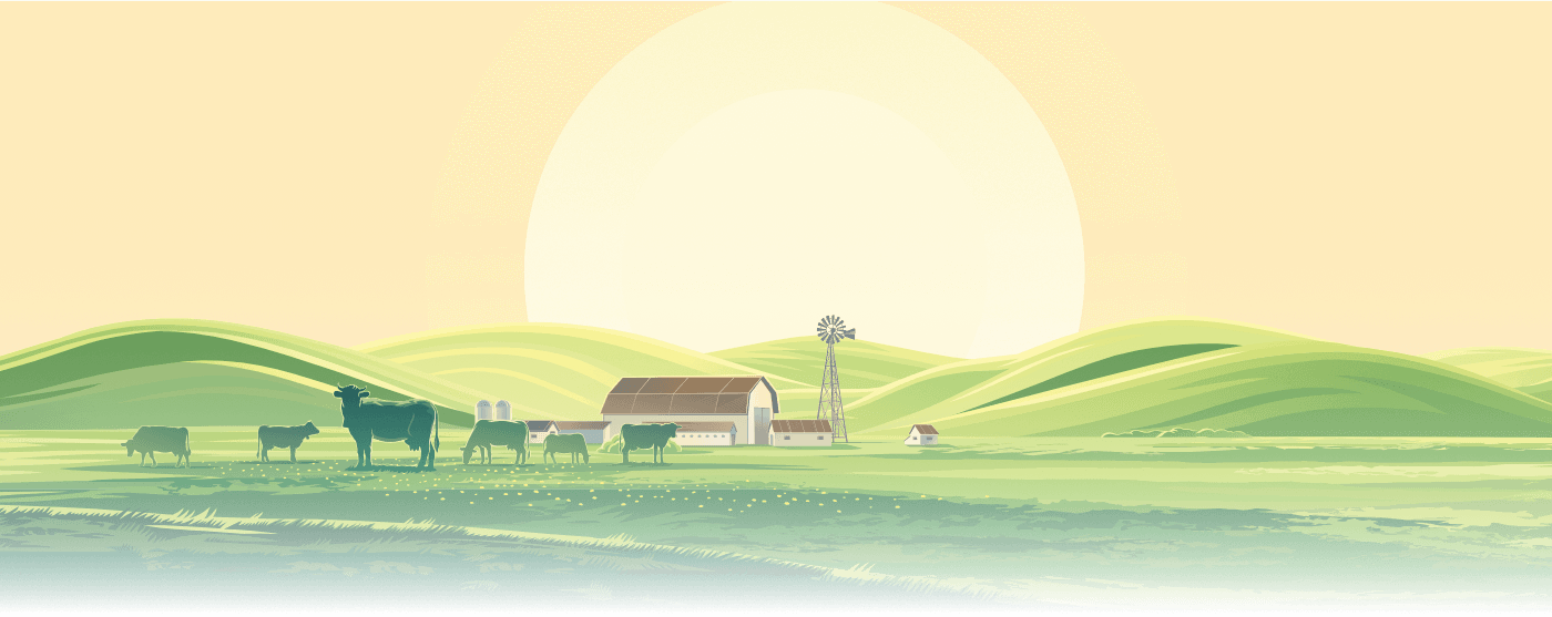 поля и коровы