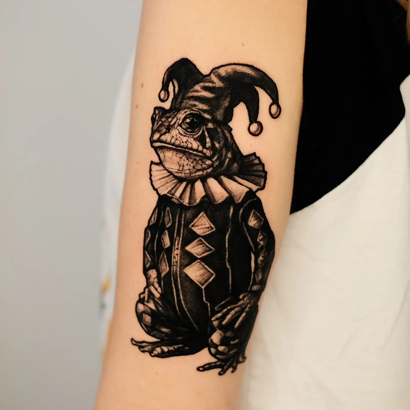 Frosch im Harlekin-Kostüm — Nikol