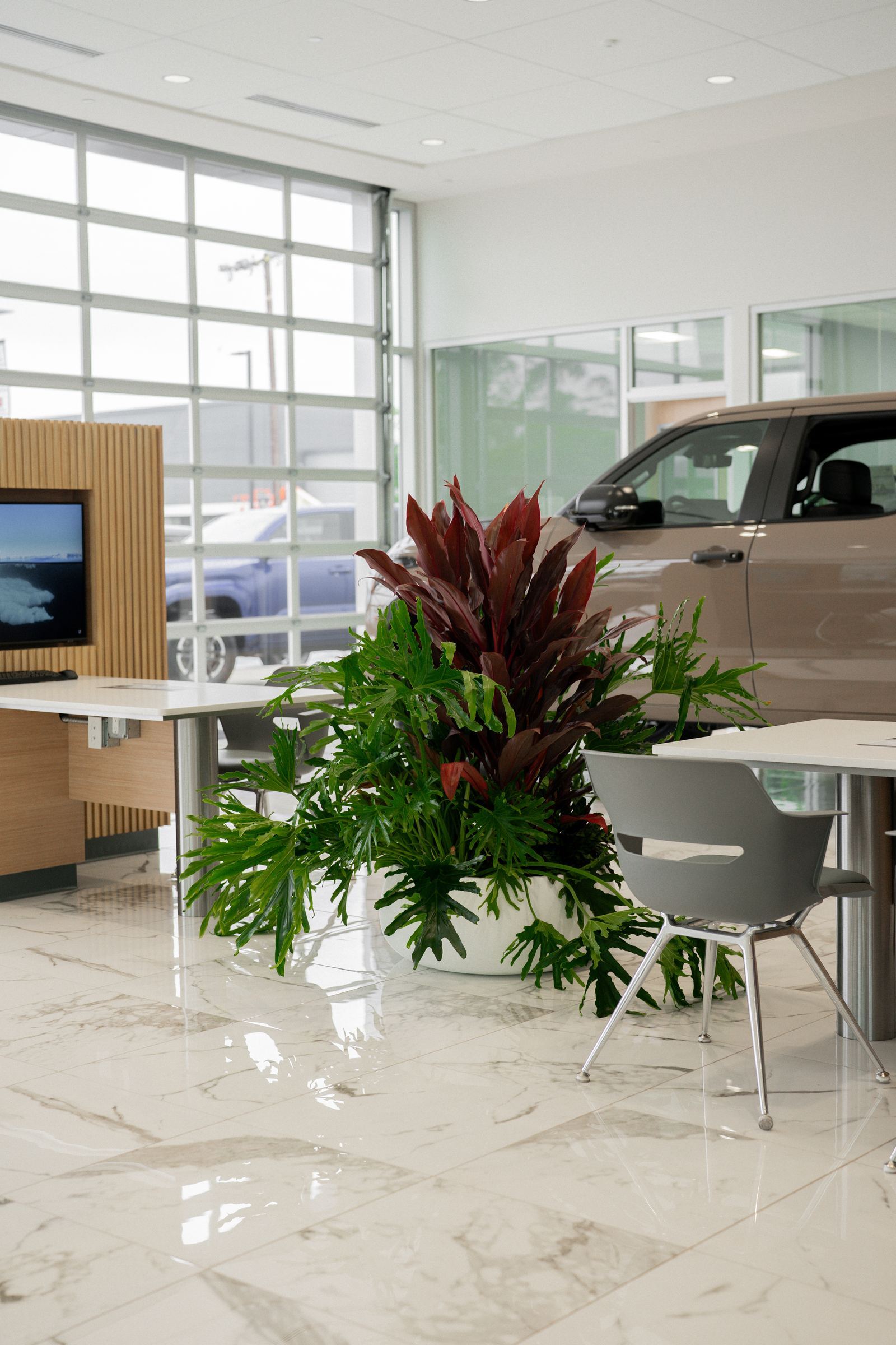 A cordyline and philodendron planter near a Mercedes-Benz service write-up desk
