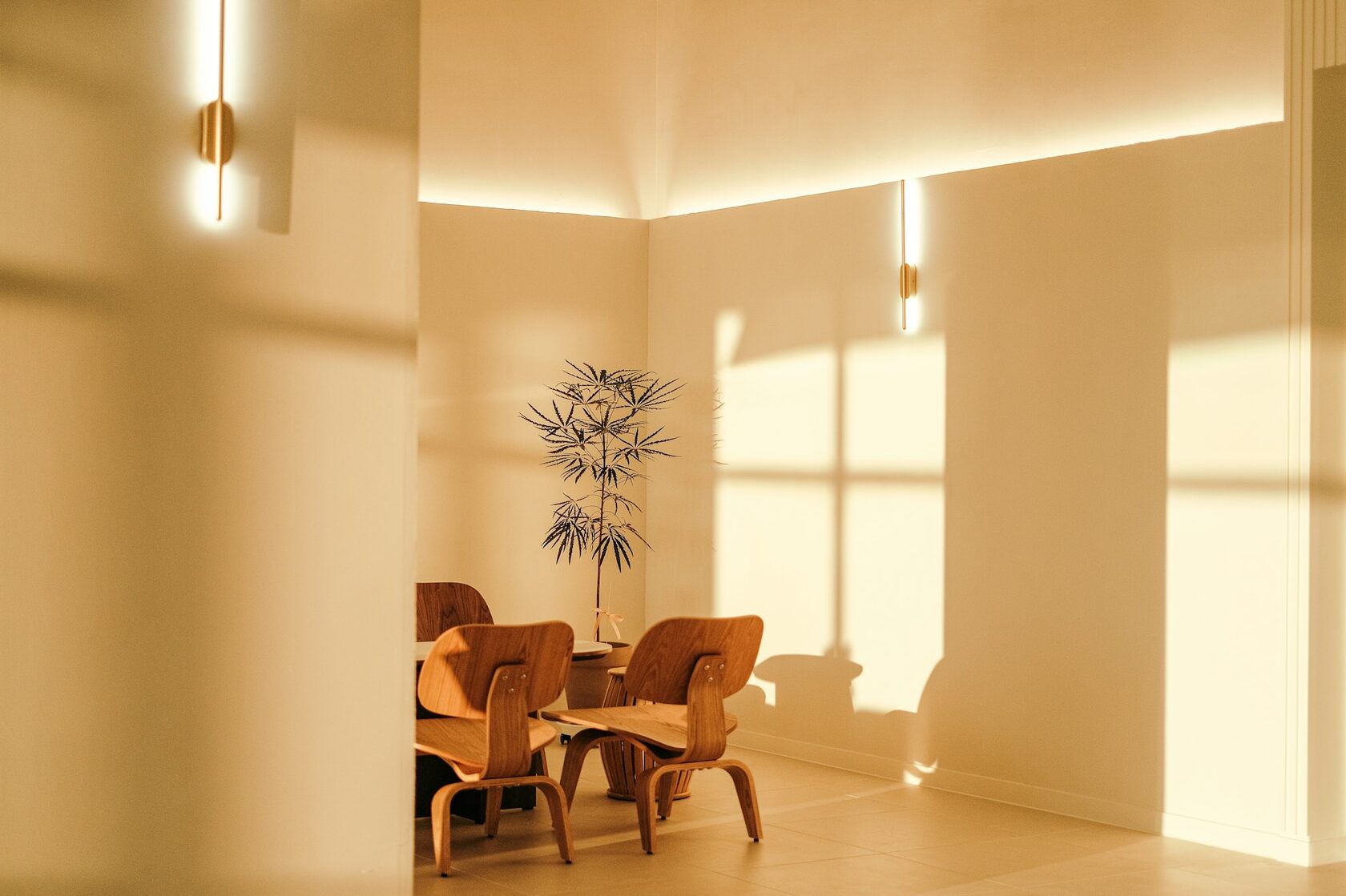 Dental Clinic Interior