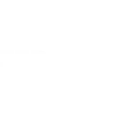 Technology partner