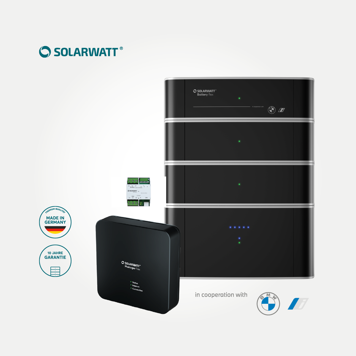 Solarwatt Manager &amp; Battery flex Paket