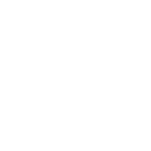 website icon