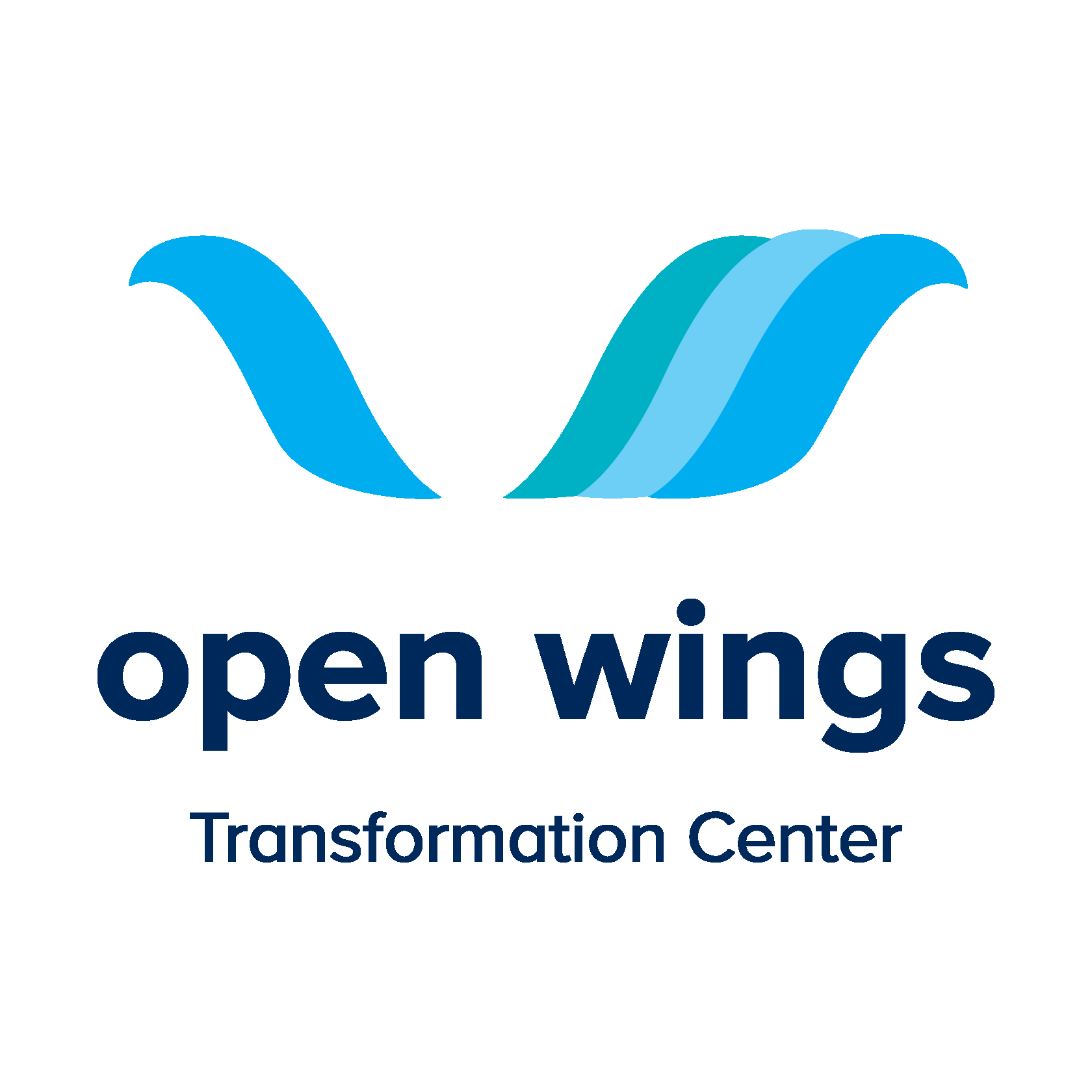 Open Wings