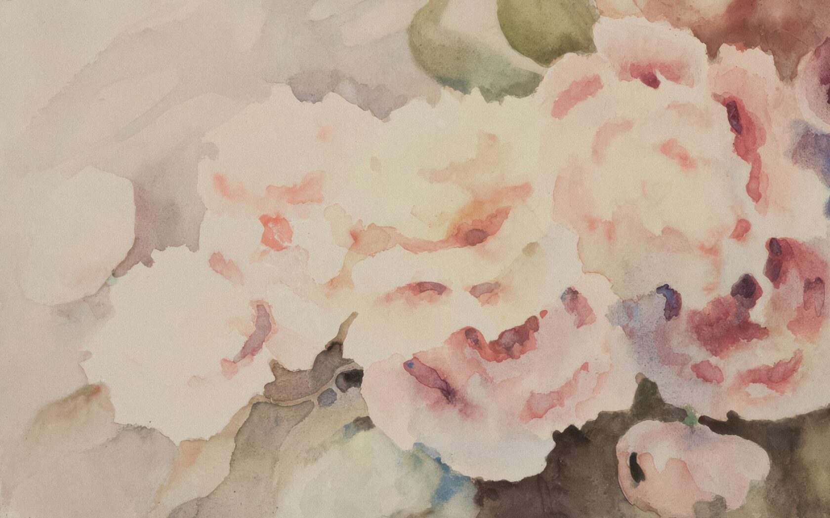A delicate floral watercolour study on paper
