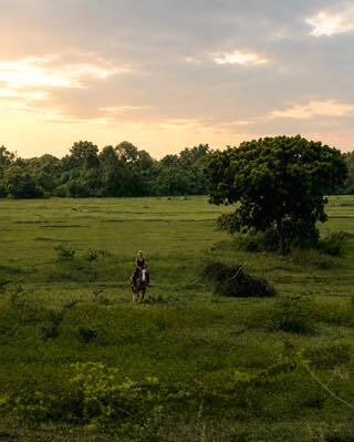 Rider and horse moving through open country at Vonfidel Ranch.