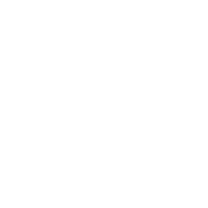 website icon