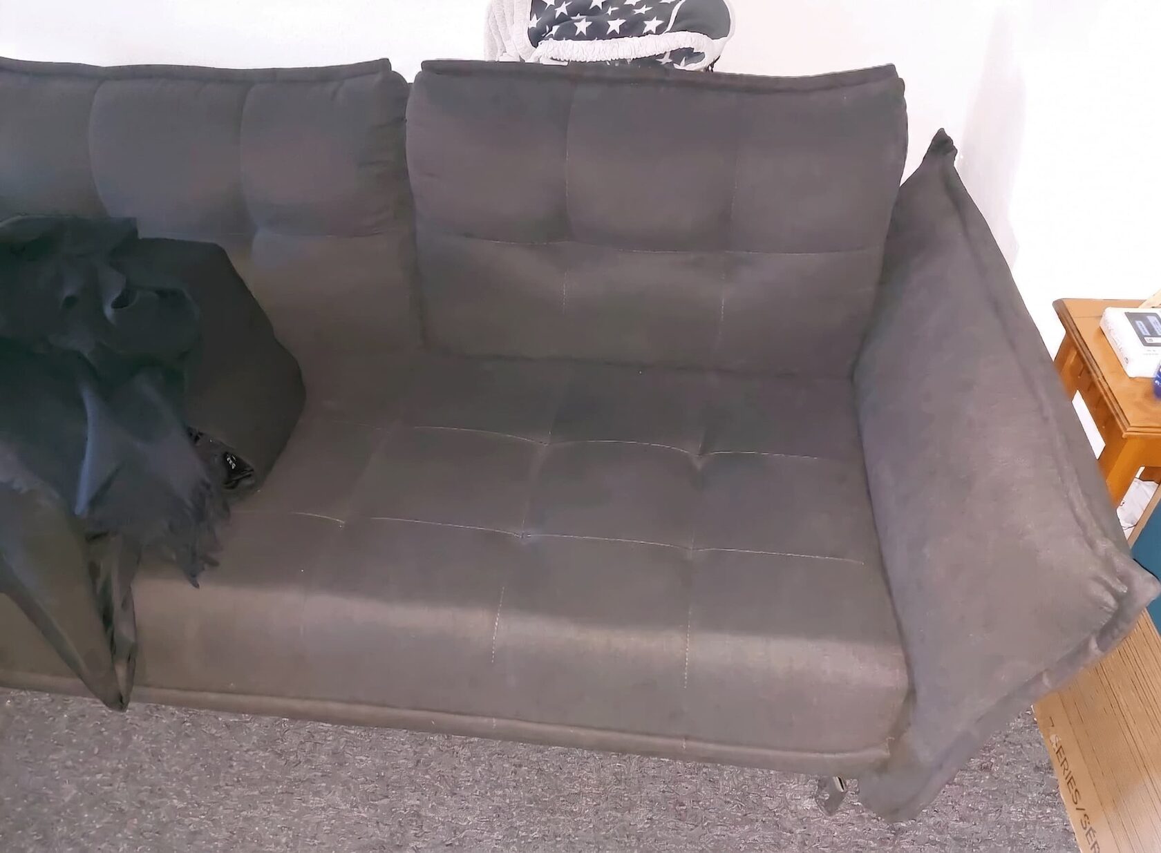 Professionelle Sofareinigung mit Sprühextraktion gegen Katzenurin in Frankfurt