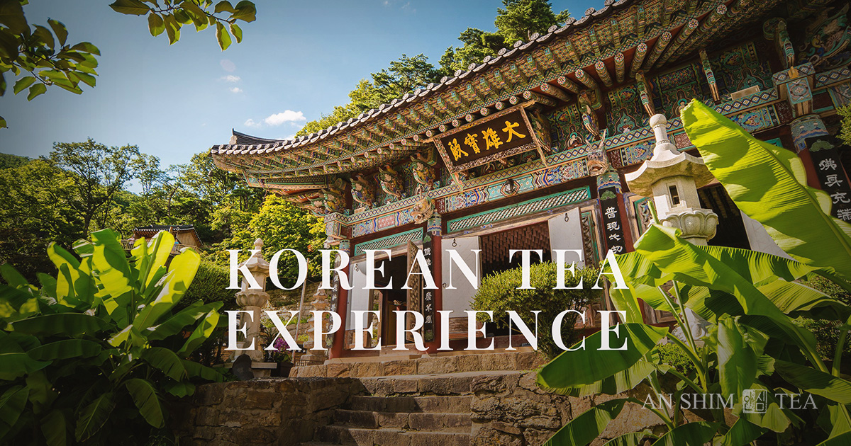 Korean Tea Experience | TEA CULTURE | Tea and Buddhism
