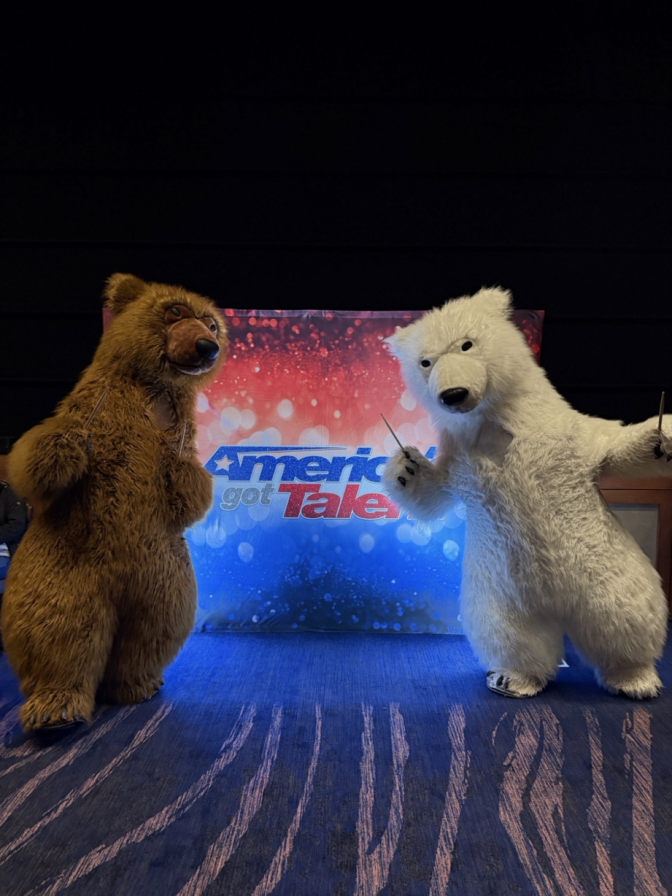 Giant Bear Drum Show for California Events