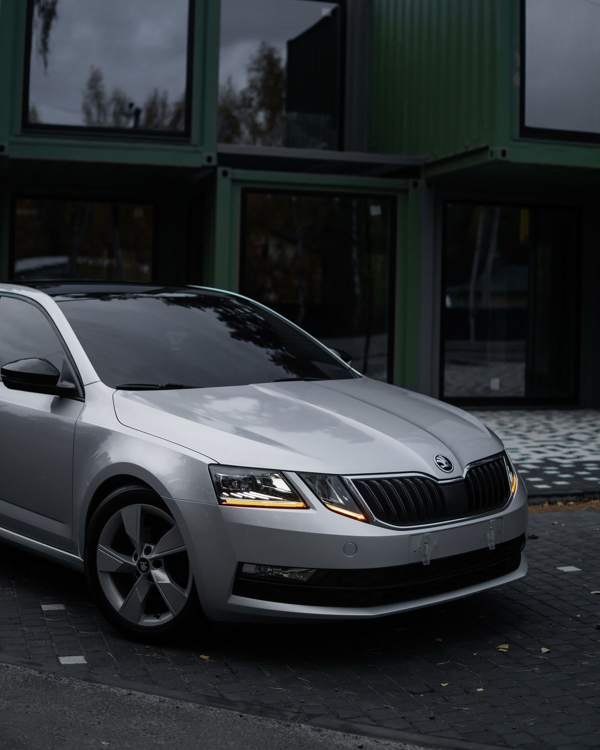 Выхлопная система skoda