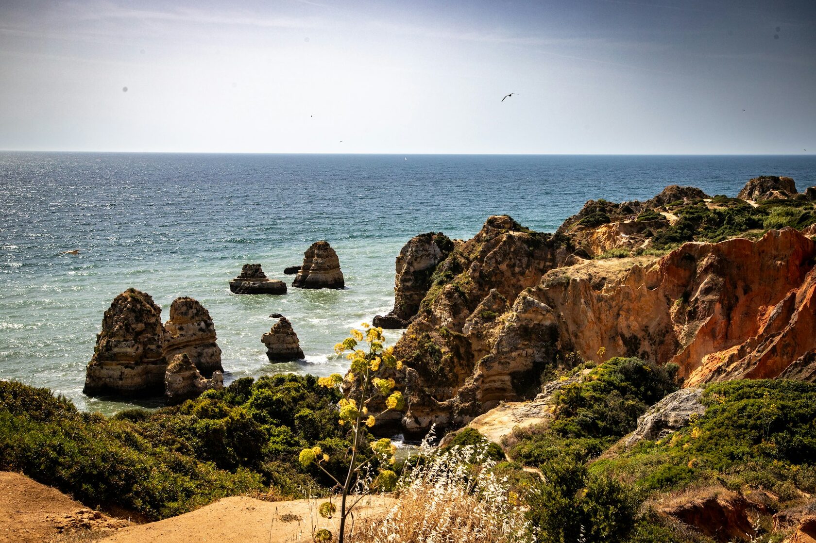 Algarve coastal cliff photography by Anaïs Marçal