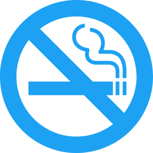 website icon