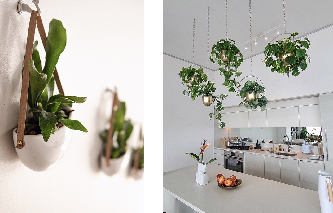 Plants for Friends | Plantscaping in LA, San Diego, Orange County