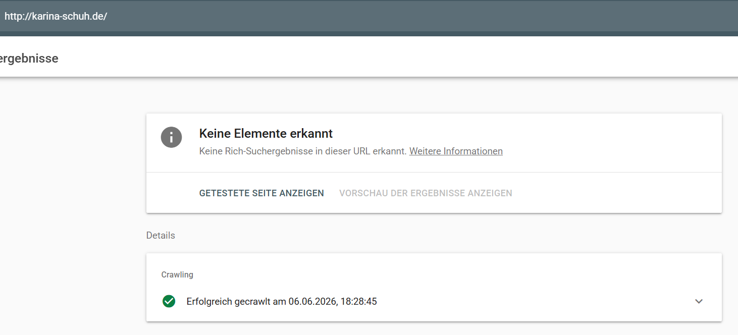 Google Rich Results Test für Karina Schuh