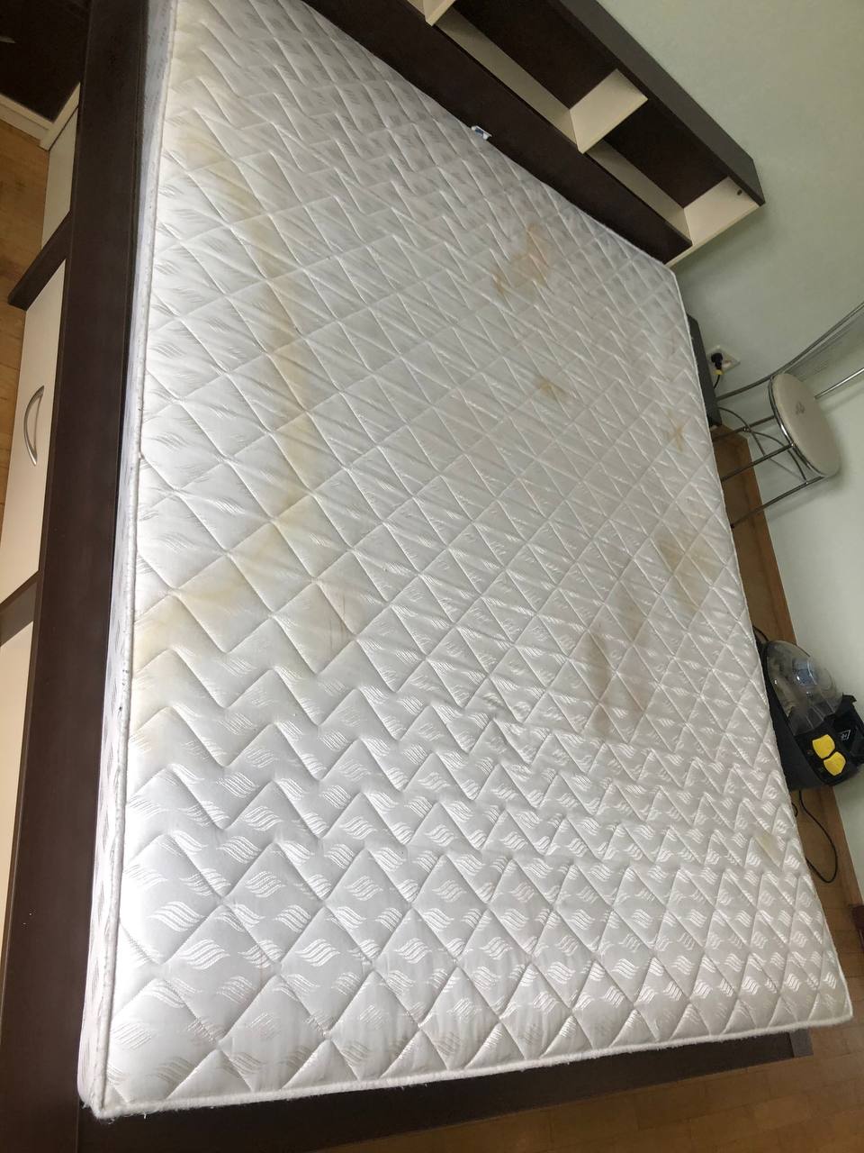 Matratze mit Flecken und Verf&auml;rbungen vor der professionellen Reinigung in Frankfurt. Schl&auml;ft ein Hund oder eine Katze mit im Bett, ziehen Talg, Speichel und kleine Unf&auml;lle genau so in die Matratze ein.