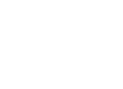 Technology partner