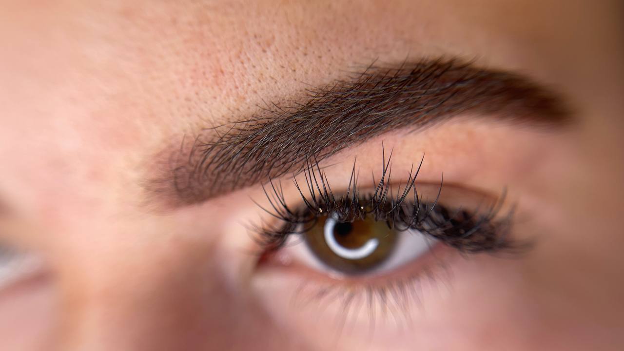 Ombre brows result