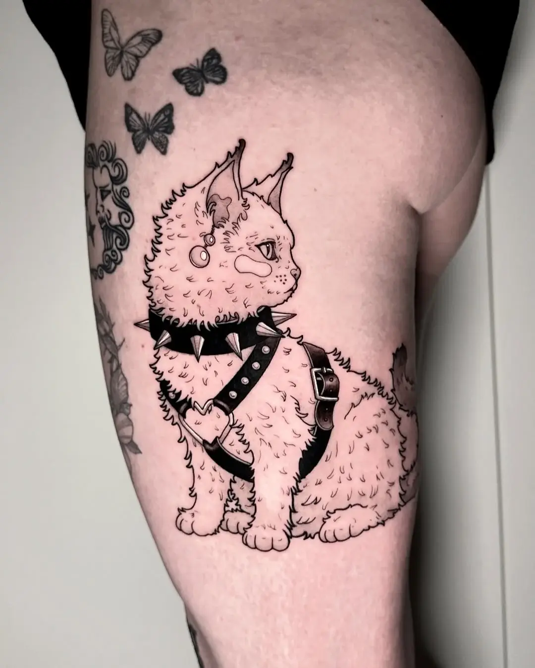 Punk-Katze — Pascal