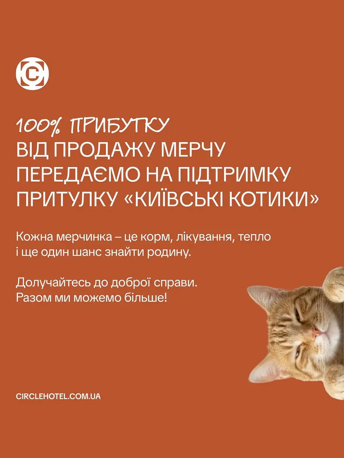 Коллекция мерча Circle Hotel в поддержку Киевских котиков