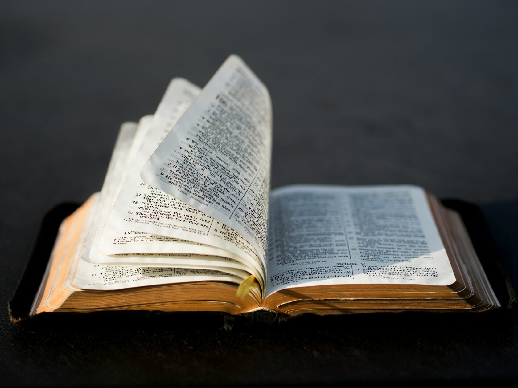 Open Bible with golden light