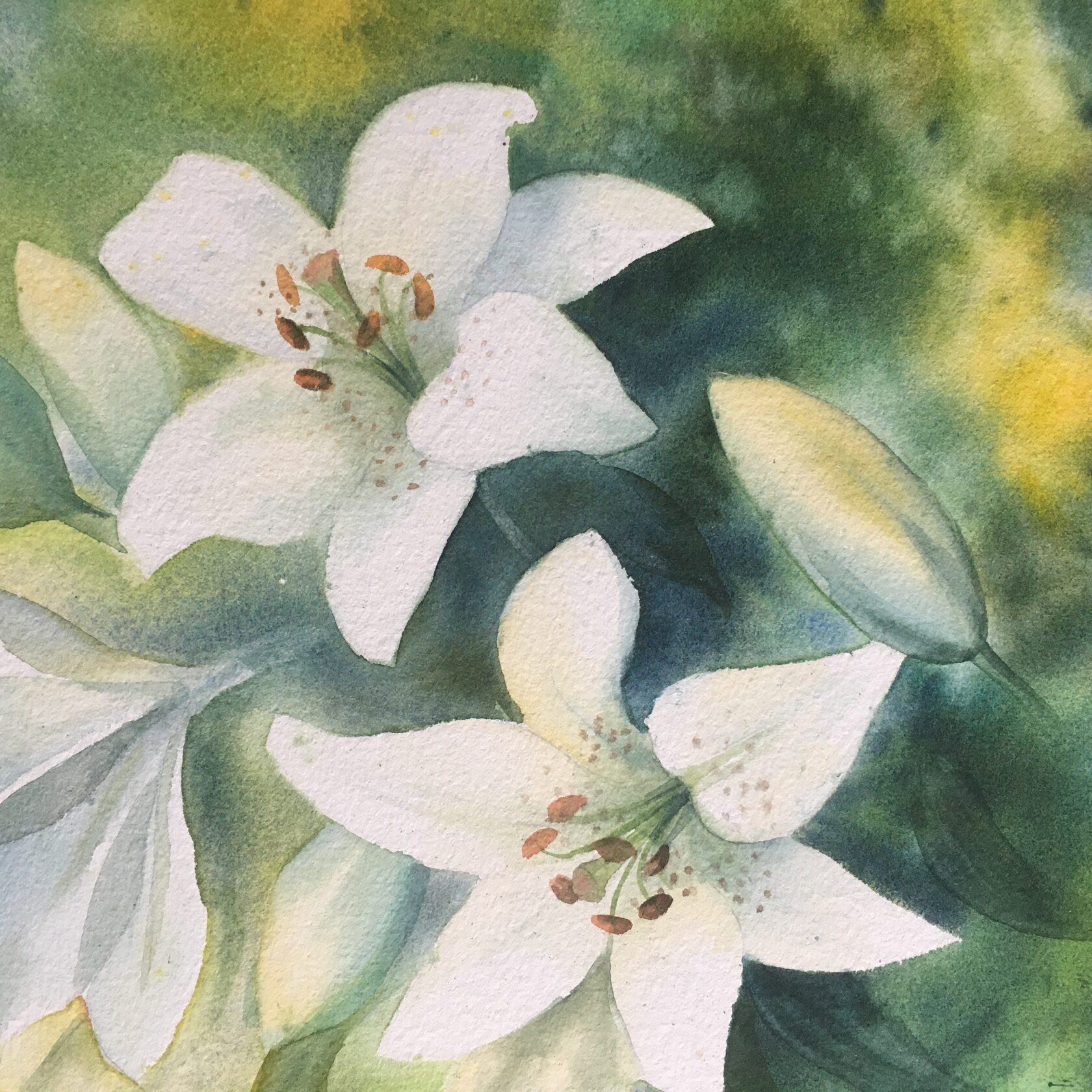 Lily Watercolor Painting