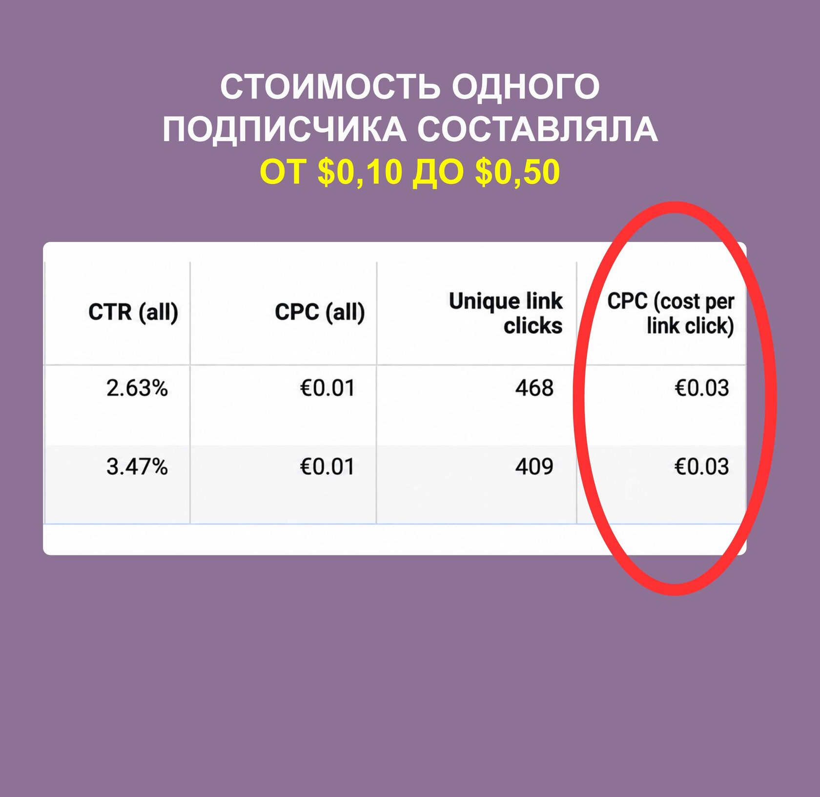 Кейс «Пуансеттия» 5