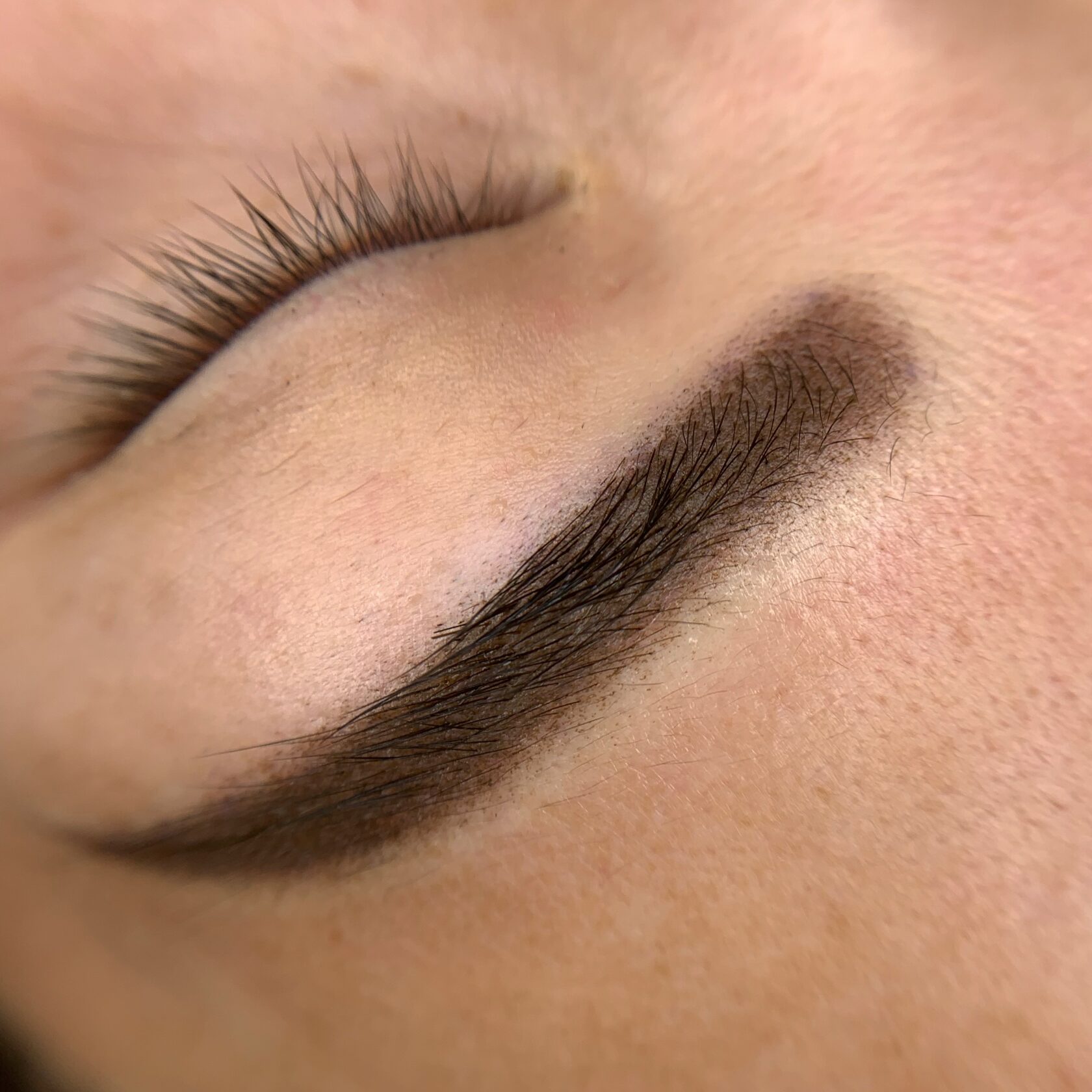 MUSE Brows 