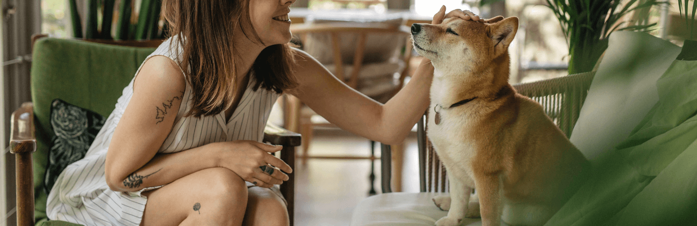 Чехи обожают животных. Подтверждение тому, простая статистика: две из трех чешских семей имеют, как минимум, одного домашнего любимца. Как завести четвероногого друга в Чехии и к чему следует быть готовым, рассказываем дальше.