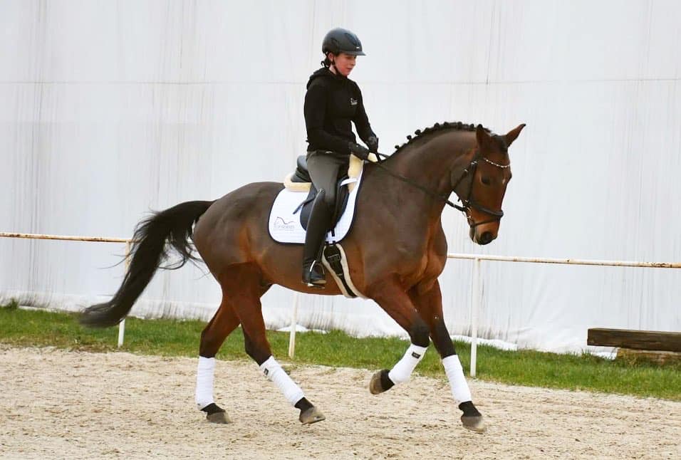 April aktuální tým