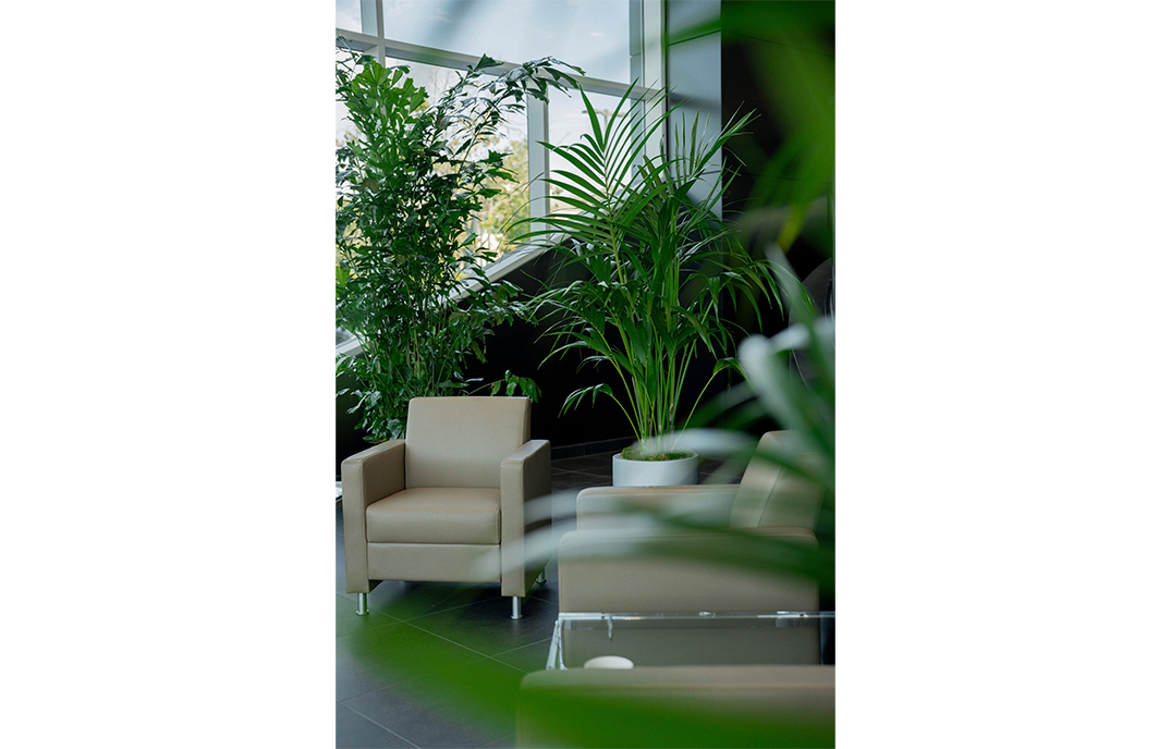 Tan lounge chairs framed by tall potted palms near floor-to-ceiling windows in a hotel lobby