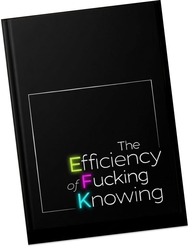 The Efficiency of Fucking Knowing book
