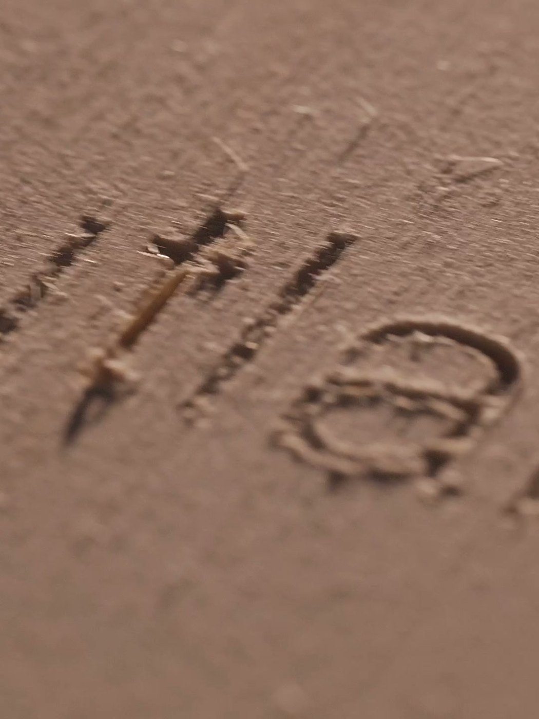 Engraved plywood