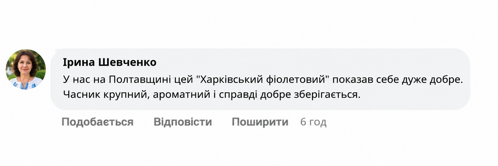 Відгук про Харківський фіолетовий часник