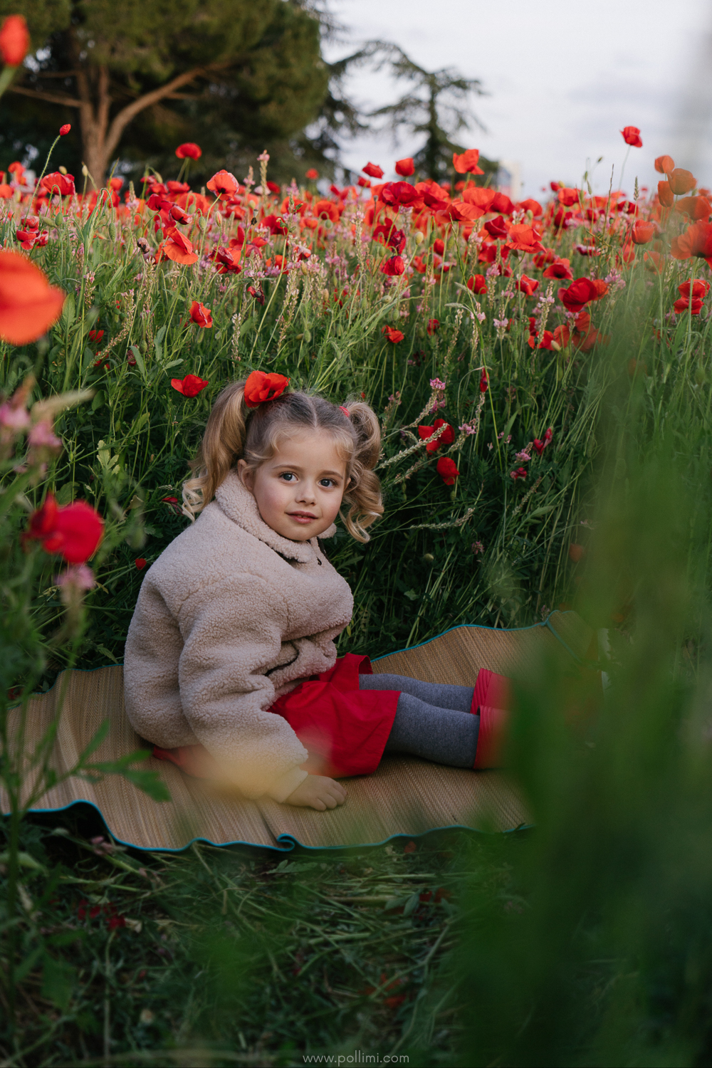 Where to find poppies in Languedoc