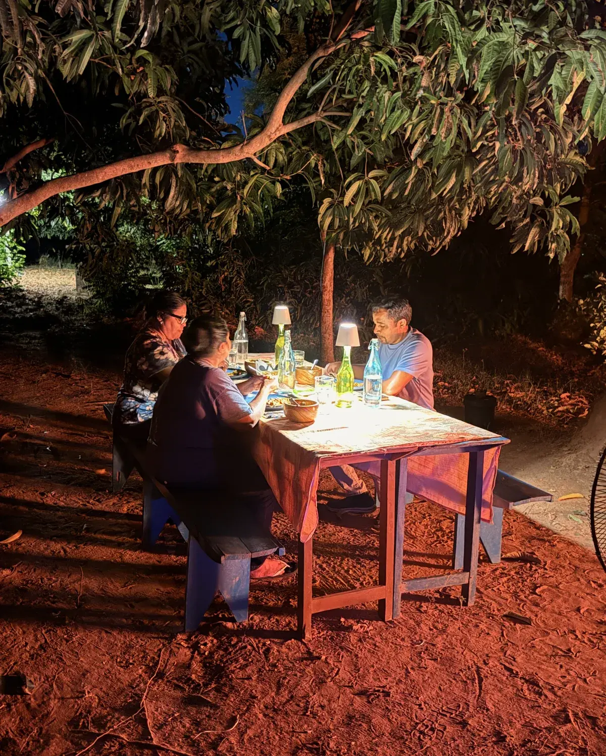 Dinner laid under the tree at night at Vonfidel Ranch.